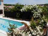 Mature garden